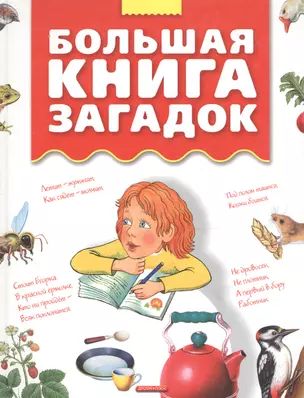 Большая книга загадок — 2089270 — 1