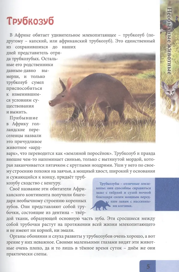 Книга Необычные животные. Энциклопедия (Людмила Соколова) — 4