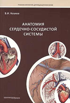 Анатомия сердечно-сосудистой системы: учебное пособие для студентов медицинских вузов — 2520080 — 1