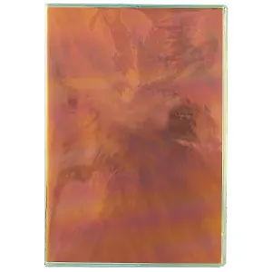 Записная книжка Listoff, Chameleon, А5, 100 листов, золотистая