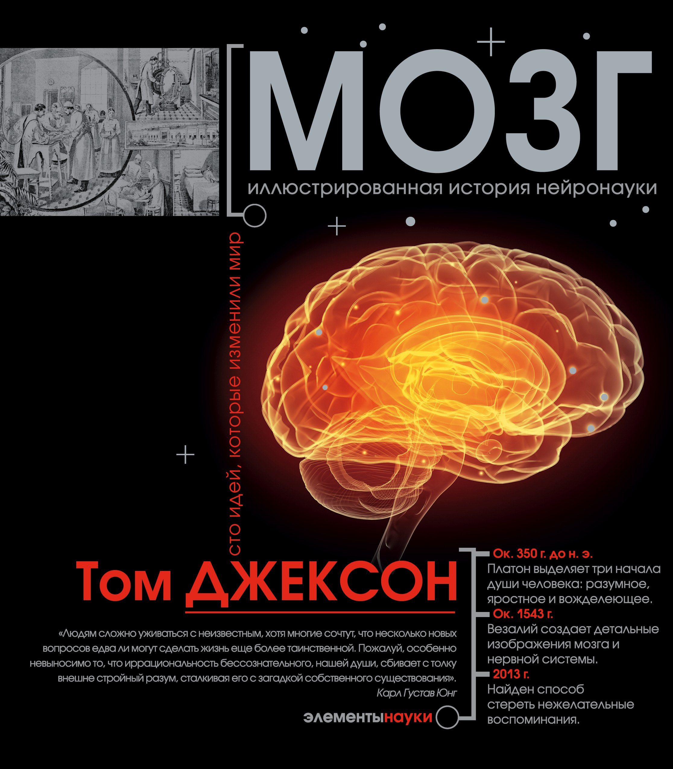 

Мозг