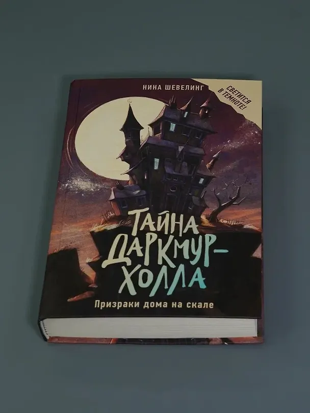 Книга Тайна Даркмур-Холла. Призраки дома на скале (Нина Шевелинг) — 10