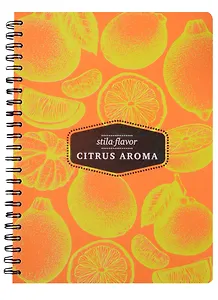 Тетрадь в клетку Stila, Citrus, 100 листов