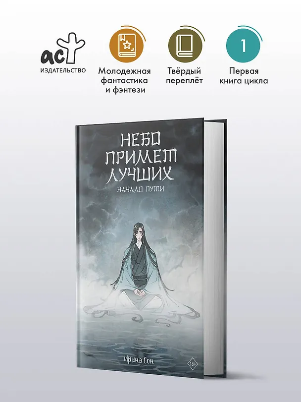 Книга Небо примет лучших (Ирина Сон) — 4