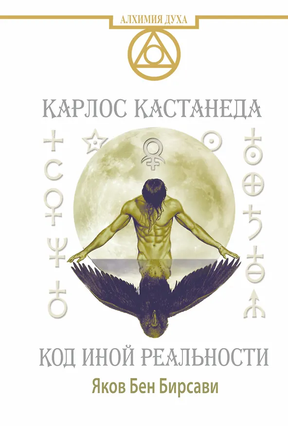 Книга Кастанеда. Код иной реальности (Яков Бирсави) — 1