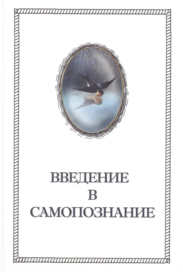 Книга Введение в Самопознание (Александр Шевцов) — 1