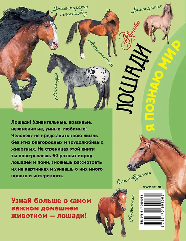 Книга Лошади () — 2