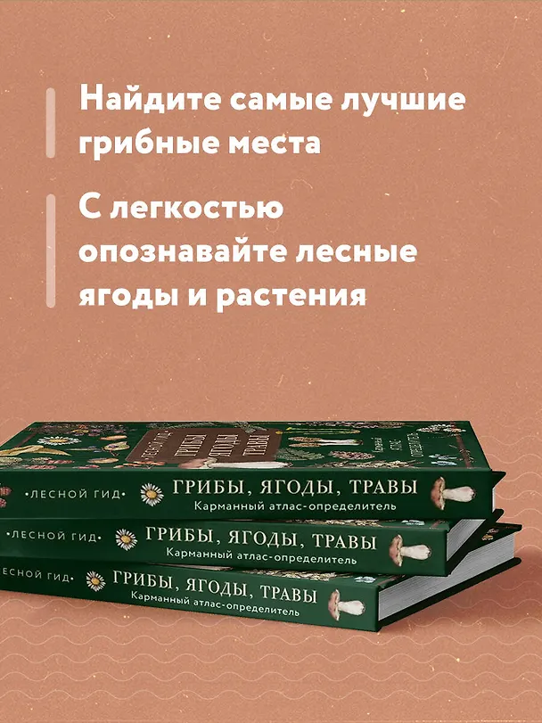 Книга Лесной гид: грибы, ягоды, травы. Карманный атлас-определитель (Людмила Семенова) — 8