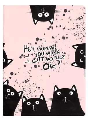 Тетрадь общая «Hey human. Коты», 48 листов в клетку, A5 - Be Smart 2900026