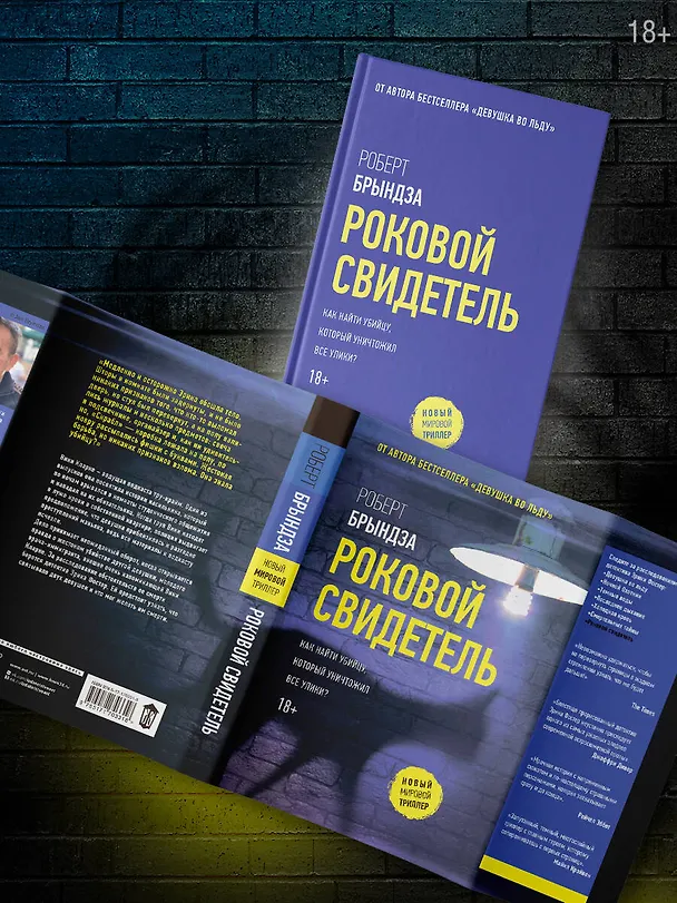 Книга Роковой свидетель (Роберт Брындза) — 7