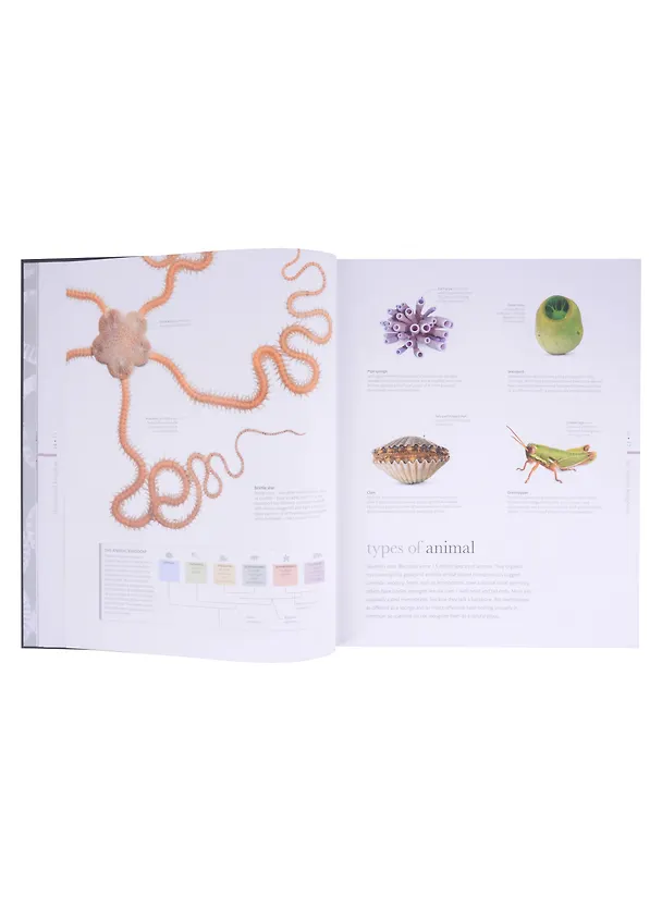 Книга The Science of Animals (Chris Packham) — 6