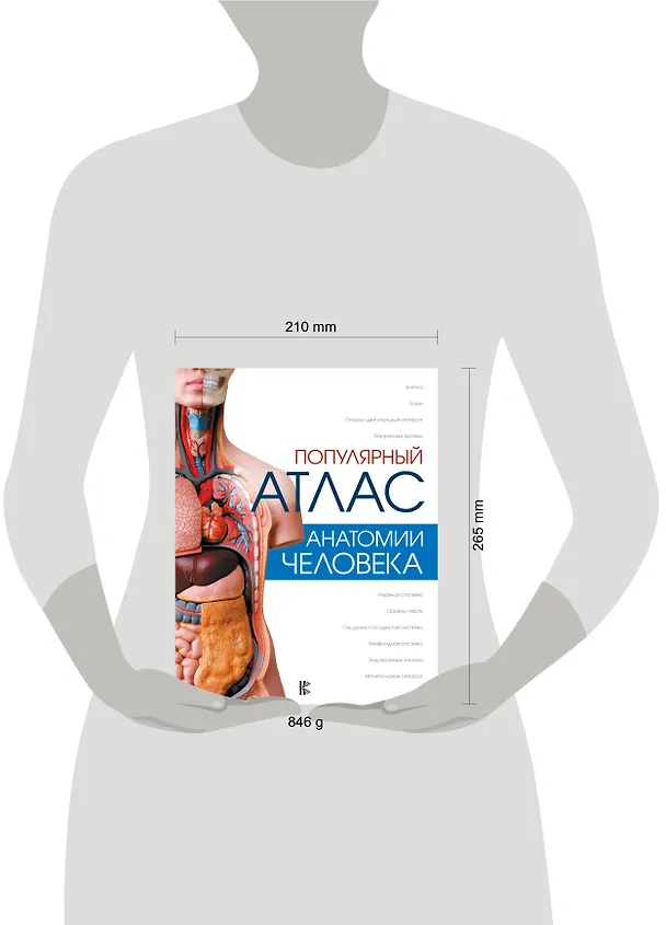 Книга Популярный атлас анатомии человека (Любовь Палычева) — 8