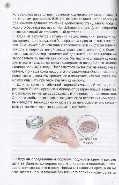 Книга Иммунитет и наше здоровье. Почему мы иногда болеем, что помогает нам не заболевать и быстрее выздоравливать () — 6