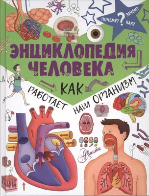 ПочемуЗачемКак? Энциклопедия человека: как работает наш организм — 2618687 — 1