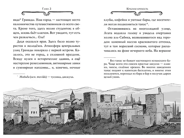 Книга Агата Мистери. Кн.12. Таинственная роза Альгамбры (Стив Стивенсон) — 16