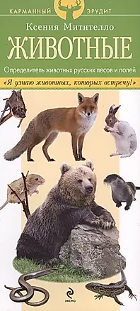 Животные. Определитель животных русских лесов и полей — 2410709 — 1