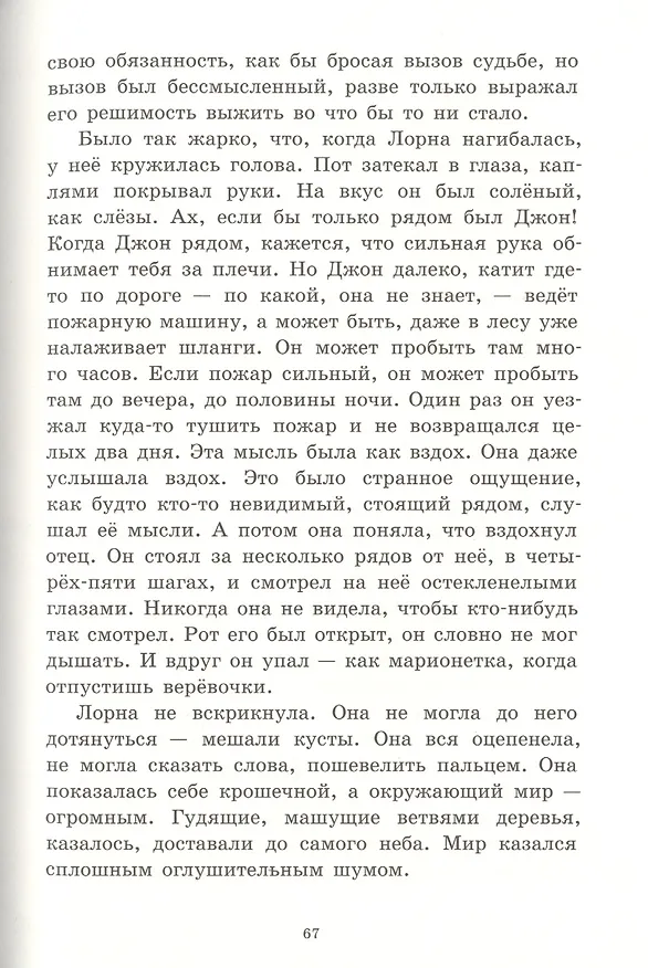 Книга Дорогой огня (Айвен Саутолл) — 4