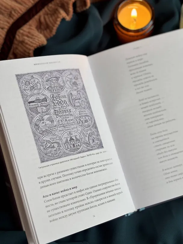 Книга Мифология викингов. От кошек Фрейи и яблок Идунн до мировой бездны и «Сумерек богов» (Елена Мельникова) — 16