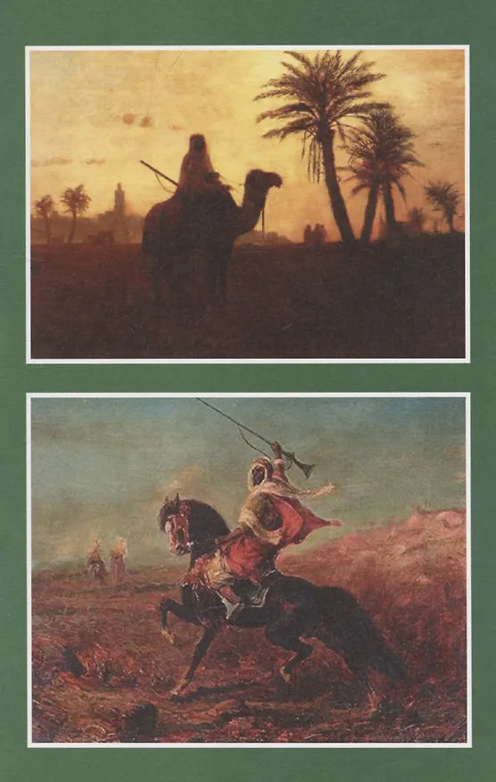 Книга Через дебри и пустыни. Том 1 (Софи Ворисгофер) — 6