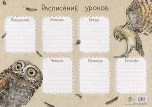 Книга Расписание уроков «Сычик-эльф» ()