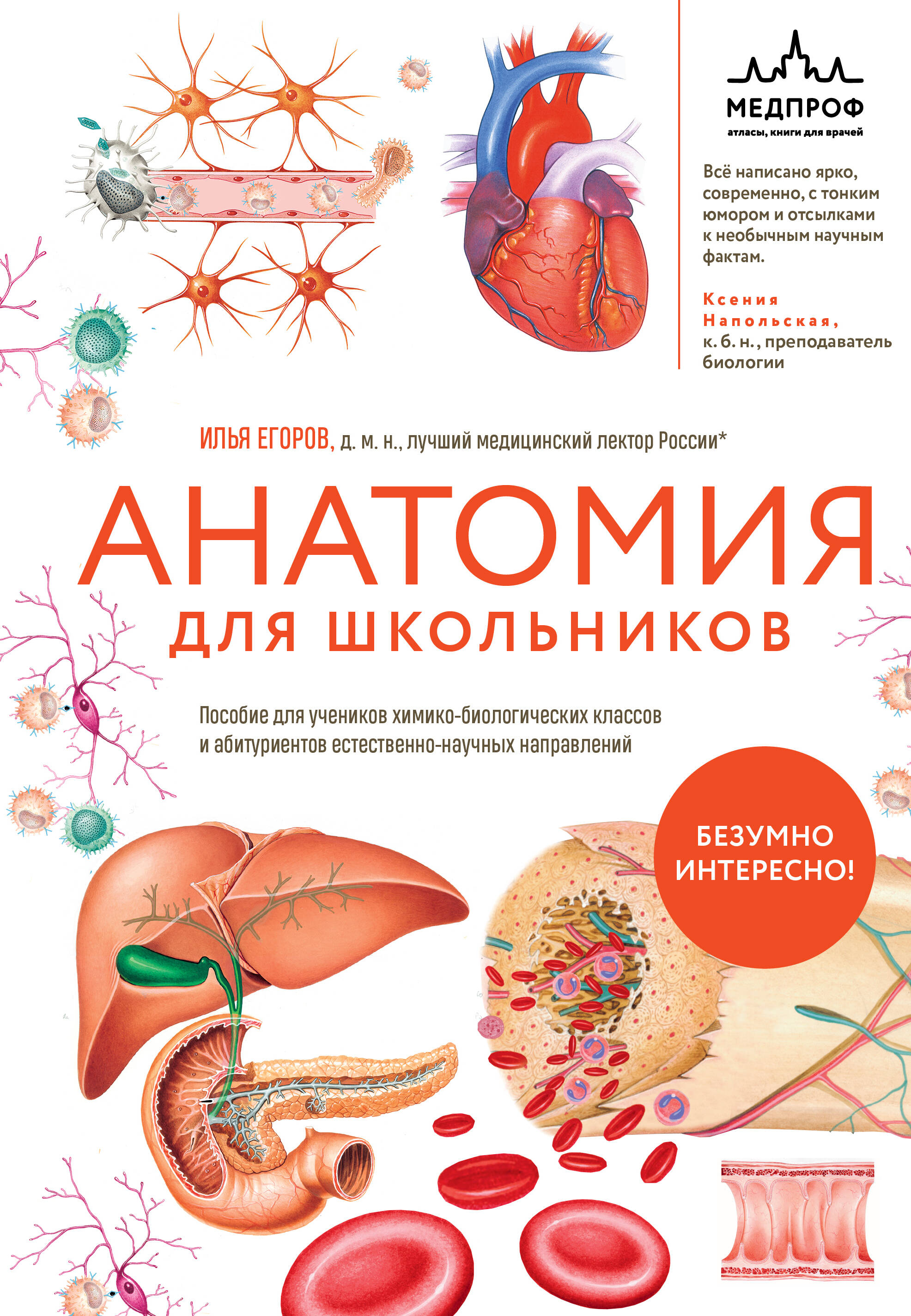 Обложка книги «Анатомия для школьников. Пособие для учеников химико-биологических классов и абитуриентов естественно-научных направлений»