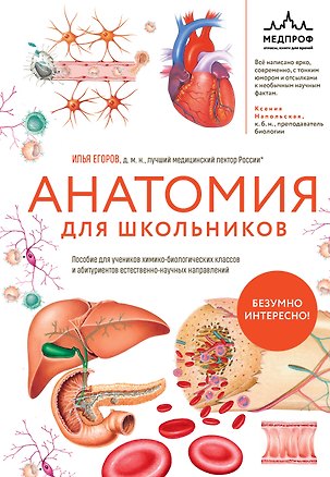 Книга Анатомия для школьников. Пособие для учеников химико-биологических классов и абитуриентов естественно-научных направлений (Илья Егоров)