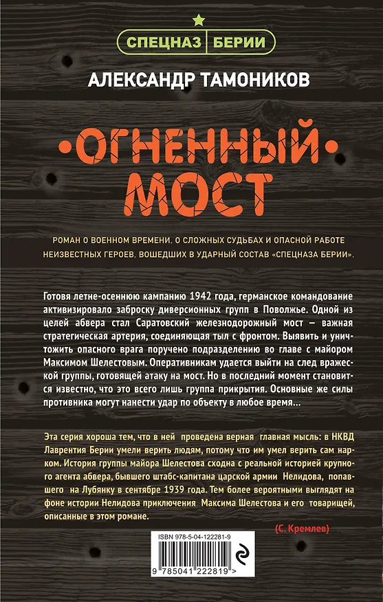 Книга Огненный мост (Александр Тамоников) — 2
