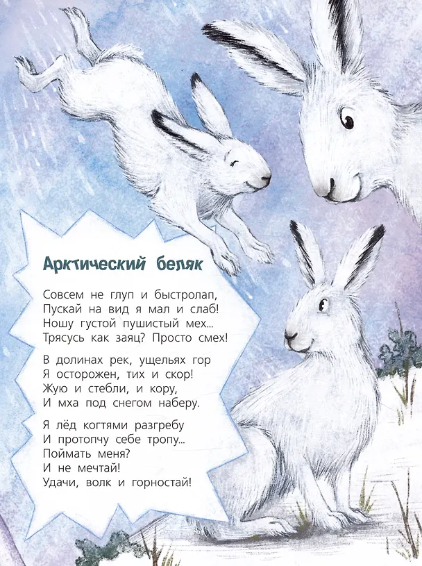 Книга Посмотри, где мы живем! (Ксения Валаханович) — 4