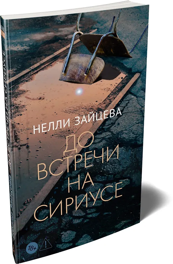 Книга До встречи на Сириусе (Нелли Зайцева) — 4