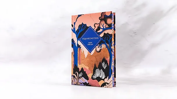Книга Frankenstein (Mary Shelley) Франкенштейн (Мэри Шелли) /Книги на английском языке () — 3