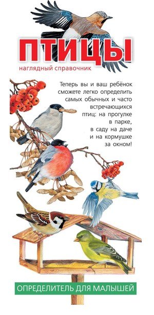 

Птицы. Наглядный справочник