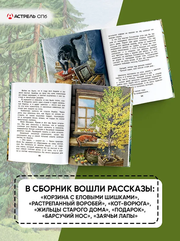 Книга Корзина с еловыми шишками (Константин Паустовский) — 6