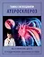 Атеросклероз. Все о лечении, диете и поддержании здоровья сосудов — 3101630 — 1