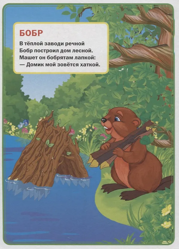Книга Кто где живет. (Владимир Степанов) — 2