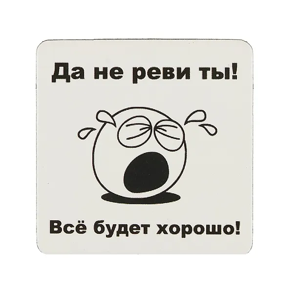 Сувенир МАГНИТИК Магнит 6,5*6,5см "Приколы": "Да не реви ты..." 2361590 — 1