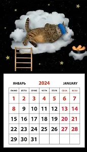 Календарь 2024г 95*165 "Кот на облаке" на магните