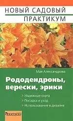 Рододендроны, верески, эрики — 2176989 — 1