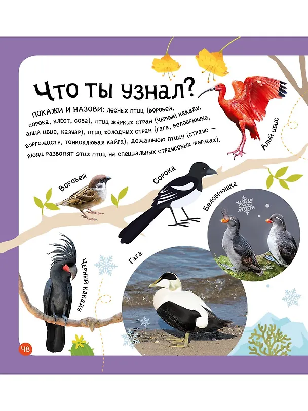 Книга Мои первые 300 слов. Животные, рыбы, птицы, растения () — 6