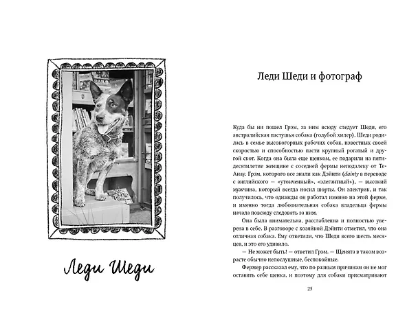 Книга Собаки книжного магазина на краю света (Рут Шоу) — 16