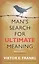 Man's Search for Ultimate Meaning — 2847108 — 1