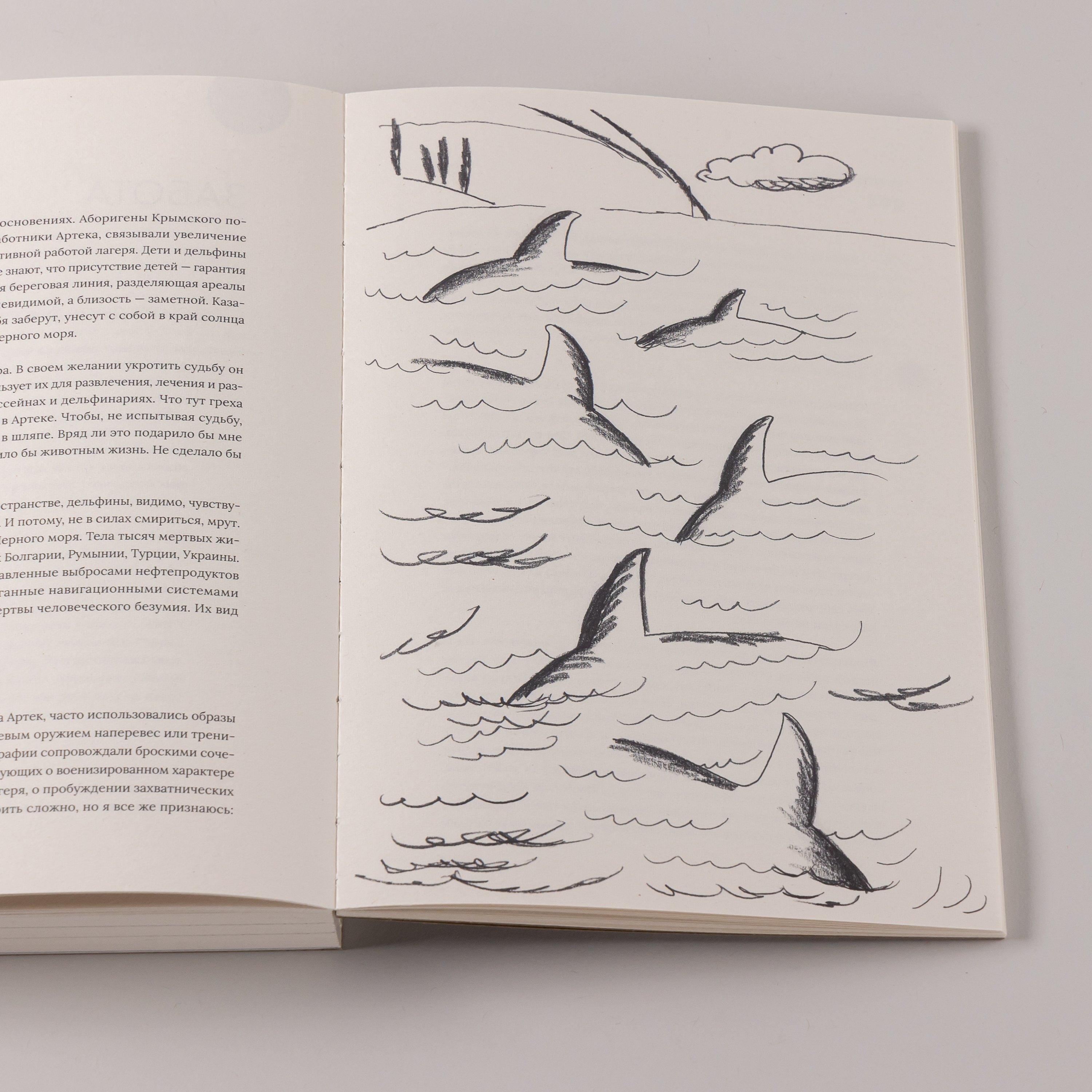 Изображение бумажной книги