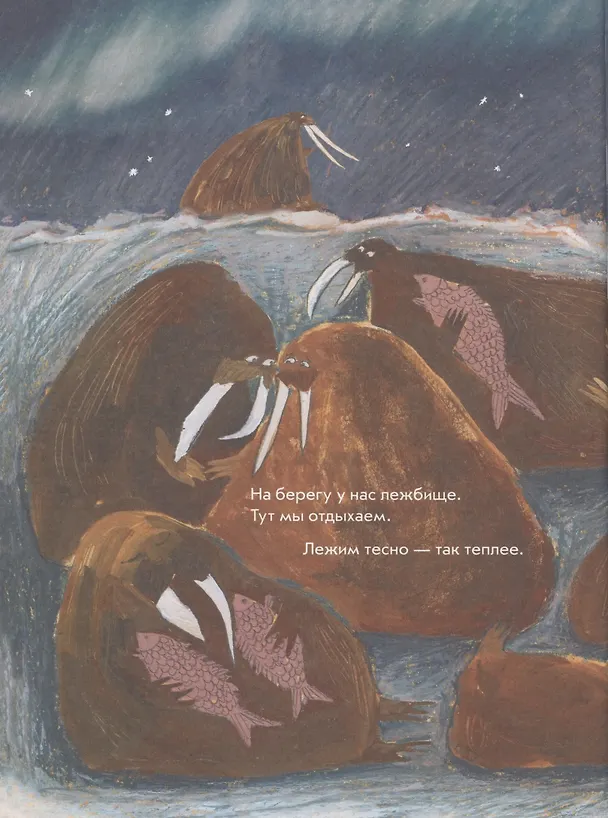 Книга Морж как морж, ничего особенного (Даша Димитрова) — 4