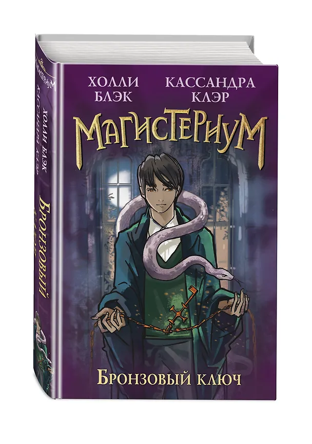 Книга Бронзовый ключ (Холли Блэк, Кассандра Клэр) — 5