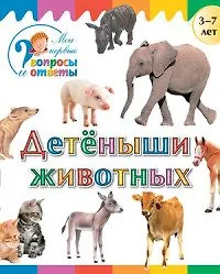 Детеныши животных
