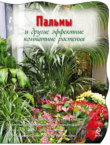 Пальмы и другие эффектные комнатные растения.