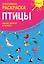 Креативная раскраска с наклейками Птицы (А4) — 2705387 — 1