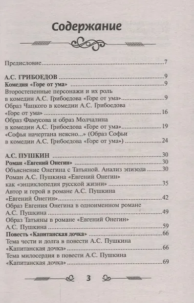 Книга Сочинение в кармане дп (Елена Амелина) — 2