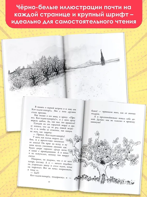 Книга Гурти в отрыве! (Бертран Сантини) — 5