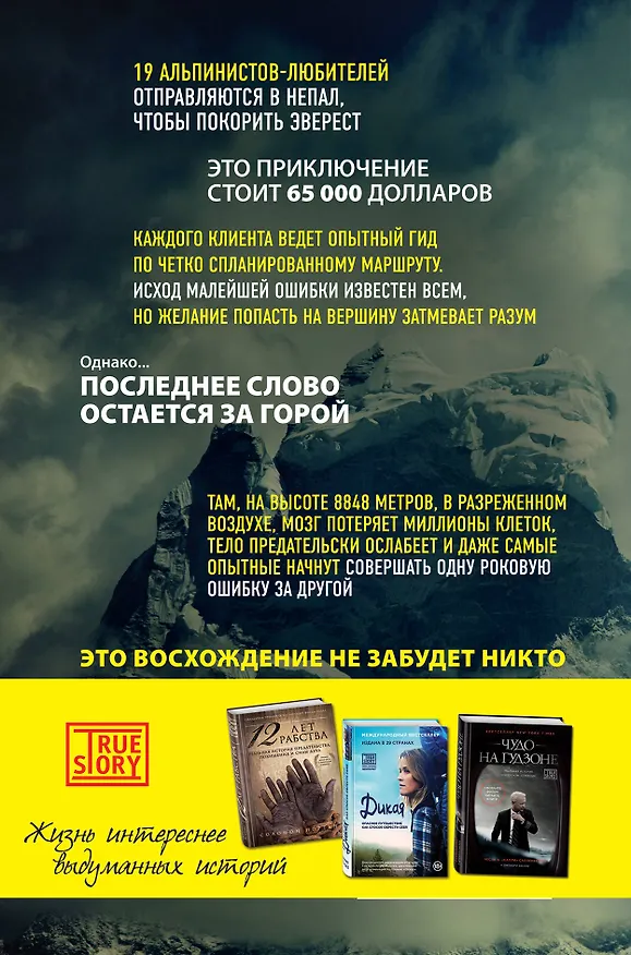 Книга В разреженном воздухе. Самая страшная трагедия в истории Эвереста () — 2