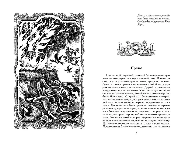 Книга Бушующая стихия (Эрин Хантер) — 2